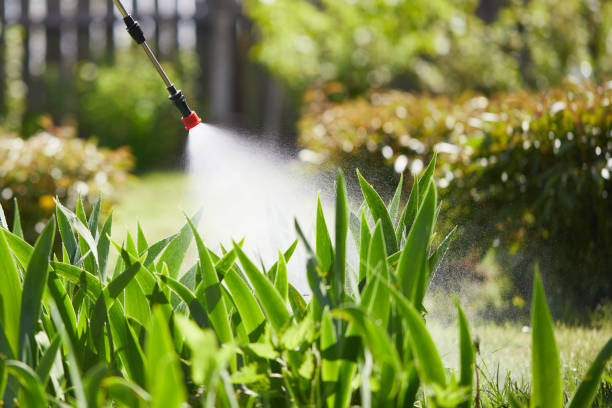 24/7 Emergency Bed Bug Control experts in Ritzville, WA